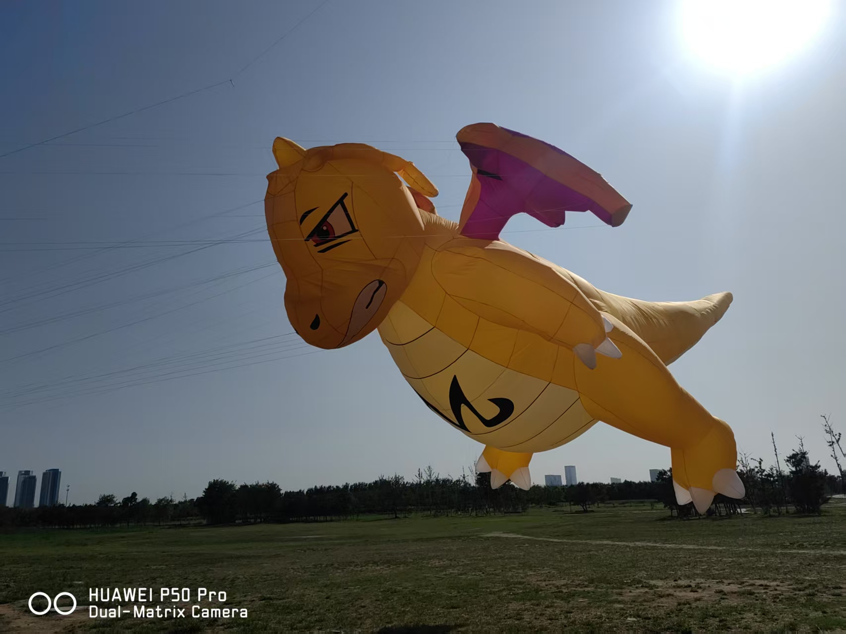 长沙市宣传风筝定制宣传风筝定制 - 价格