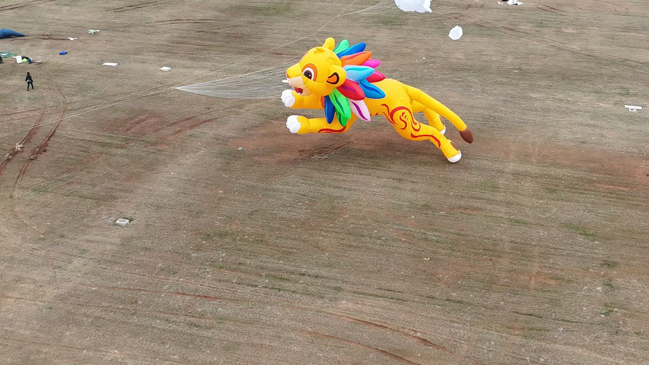 长沙市品牌风筝定制风筝放飞活动策划 - 一站式服务