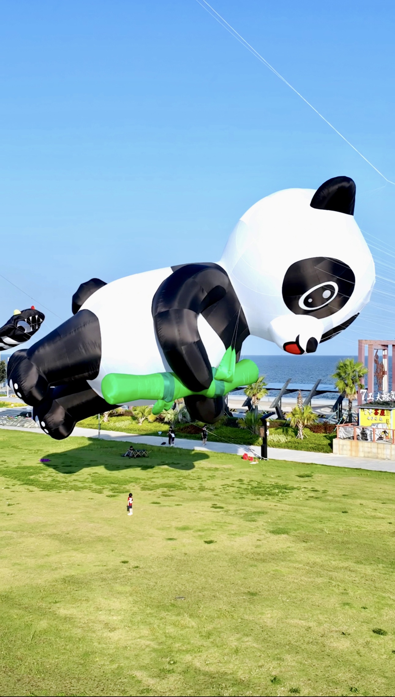 长沙市风筝批发风筝放飞活动策划 - 哪里好