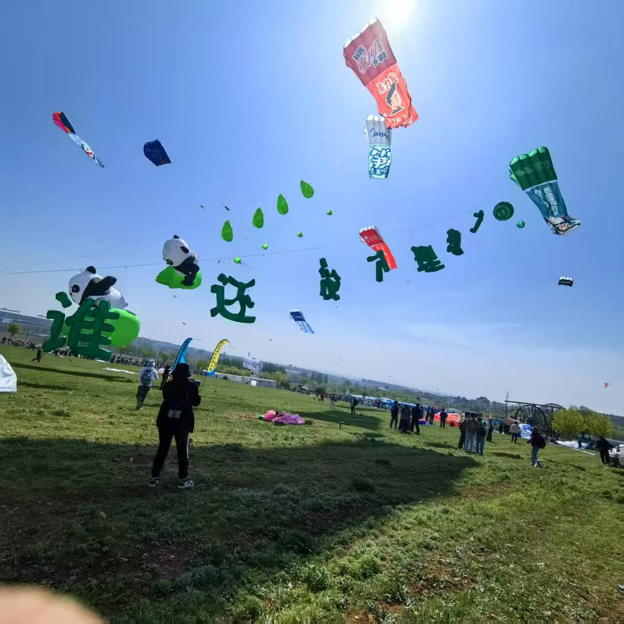 长沙市宣传风筝定制风筝定制 - 哪里好